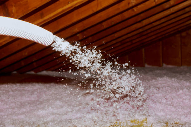 Best Cellulose Insulation in St Stephen, SC