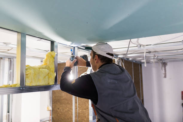Types of Insulation We Offer in St Stephen, SC