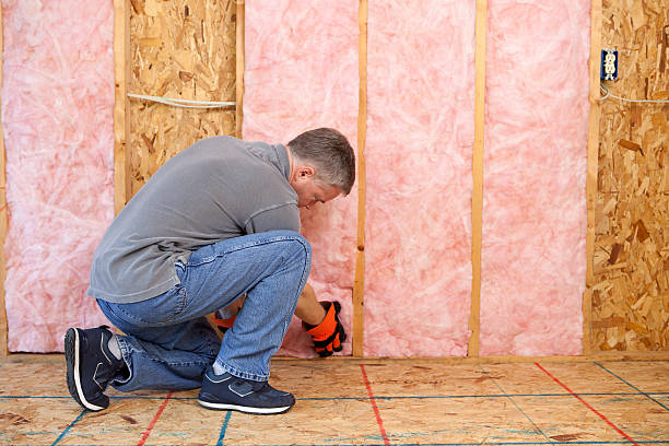 Best Blown-in Insulation in St Stephen, SC